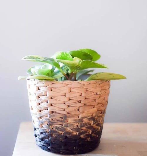 DIY Planter Hacks 15