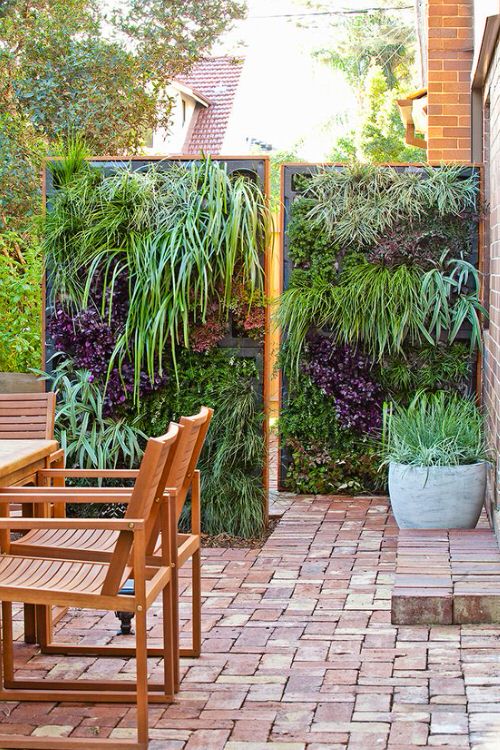 Patio Wall Decorating Ideas with Plants 