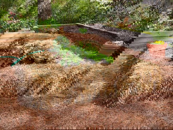 straw bale raised bed