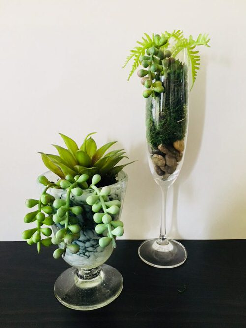 Wine Glass Terrariums 9