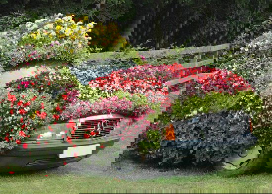 Some of the top Old Car Garden Arts