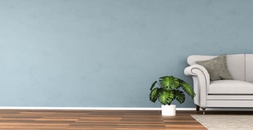 Best Insta Worthy Photos of House Plants 4