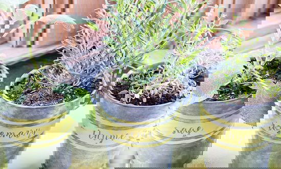 DIY Silver Planter Ideas you can take inspiration from