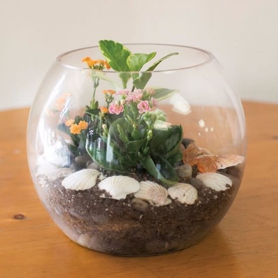 Fish Bowl DIY Terrarium Ideas