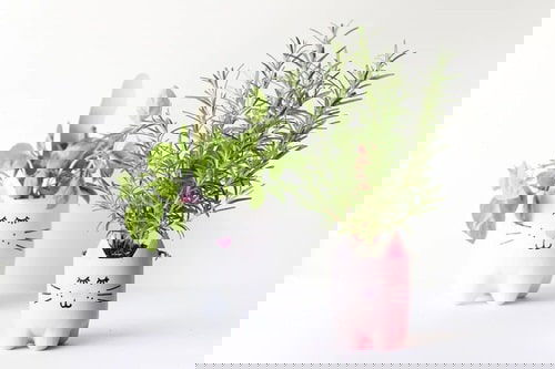 Impossibly Cute DIYs You Can Make With Things From Your Recycling Bin 7