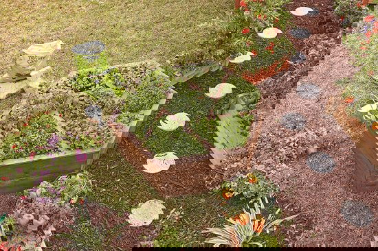 DIY Hexagon Garden Box