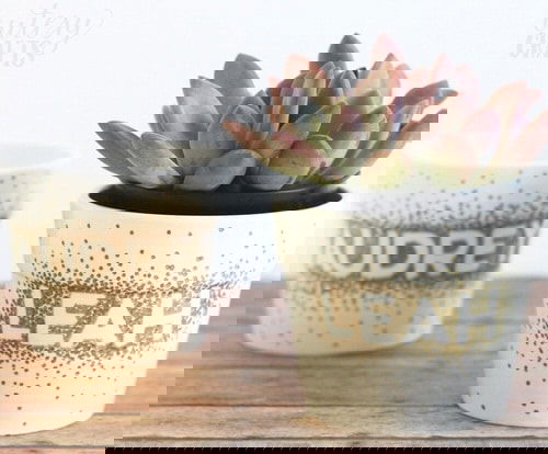 DIY Houseplant Pots Ideas and Makeover 10