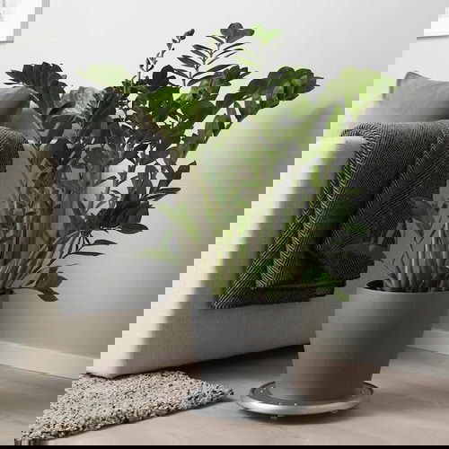 How IKEA Pots Change the Look of Indoor Plants