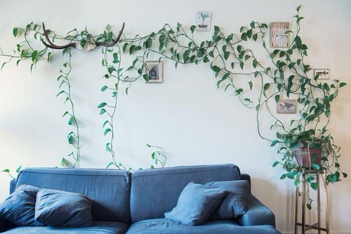 Indoor Climbers Pictures 8