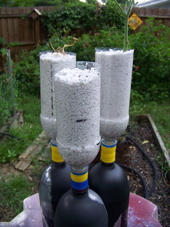 DIY Hydroponic System