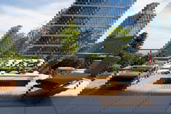 terrace garden tips 8