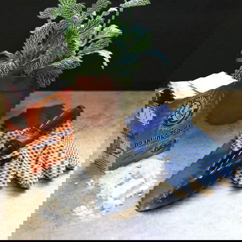 Pinterest Garden Hacks 11