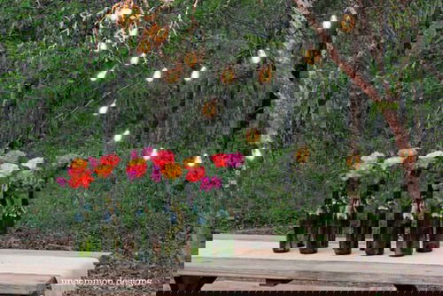 Gorgeous Bottle Garden Designs 9