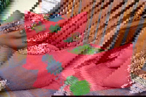 These Pictures Prove You Can Plant Succulent Anywhere 22