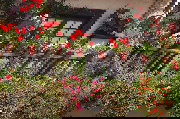 balcony railing design (5)_mini