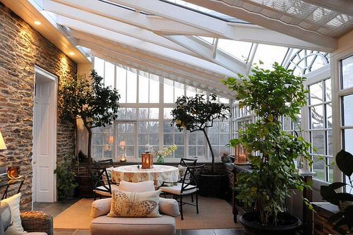 Sunroom Ideas With Plants 3