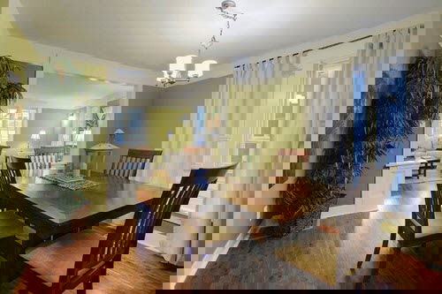 Pictures of House Plants in the Dining Room 8