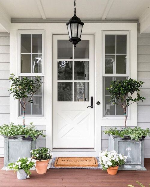 Best Entrance Plants Pictures 2