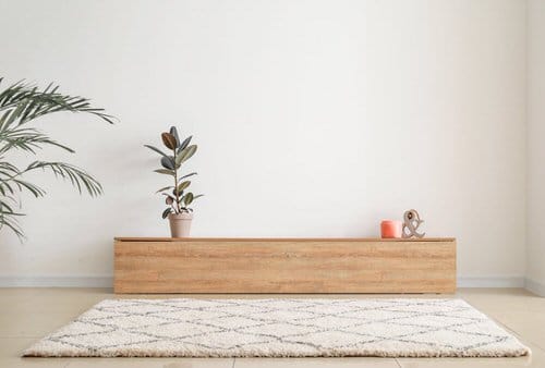 Best Insta Worthy Photos of House Plants 20