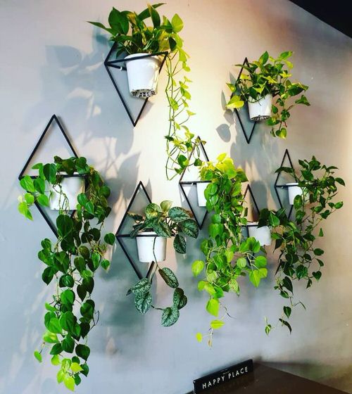 Artistic Plant Wall Art Ideas for Home DÃ©cor10