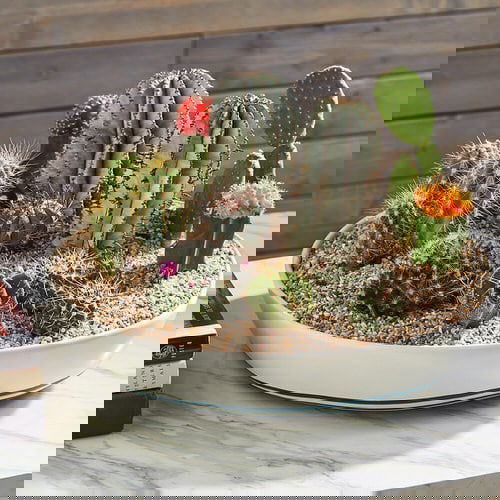 Container Gardening Arrangements 2