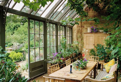 Sunroom Ideas With Plants 8