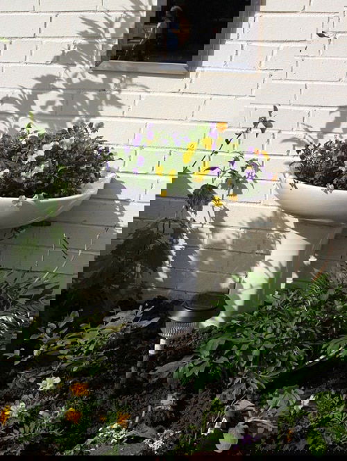 Insanely Instant Ideas to Decorate Your Garden 5