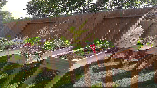 DIY Garden Box Ideas