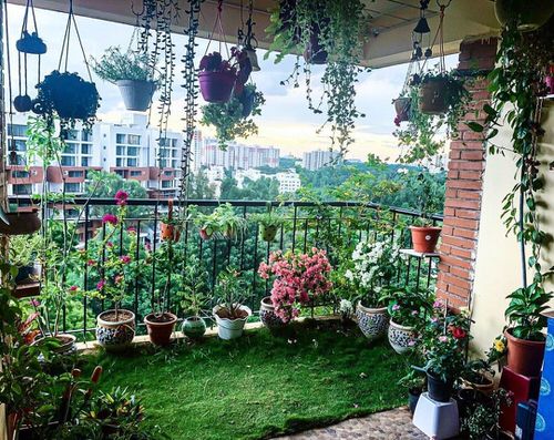 Top Balcony Gardens of November on Instagram 4