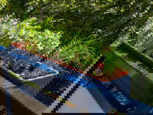 Balcony Homesteading Ideas