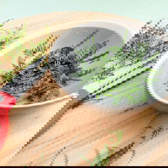 List of Cooking Herbs for your pots