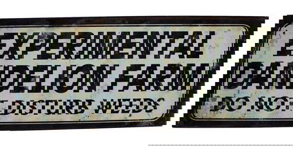 garden sign ideas (11)