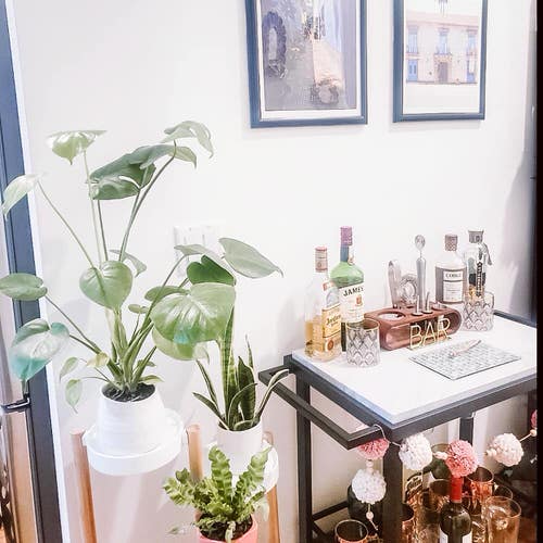 How IKEA Pots Change the Look of Indoor Plants 4