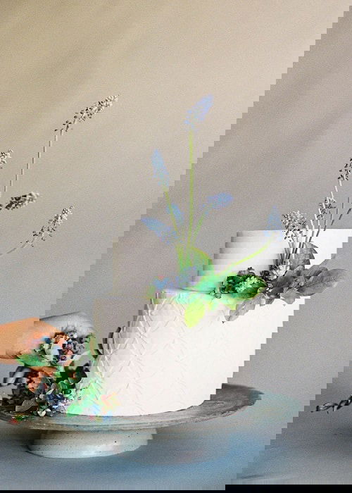 Edible Flowers for Cakes 6