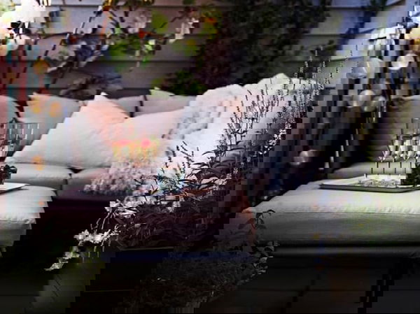 things to have in balcony garden