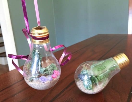 lightbulb DIY Terrarium Ideas