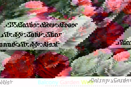 Amazing Spring Quotes For Gardeners