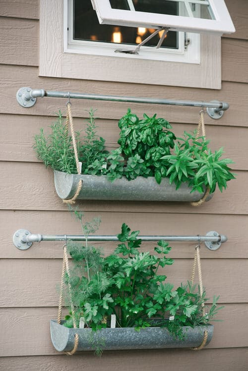 DIY Herb Wall Ideas 6