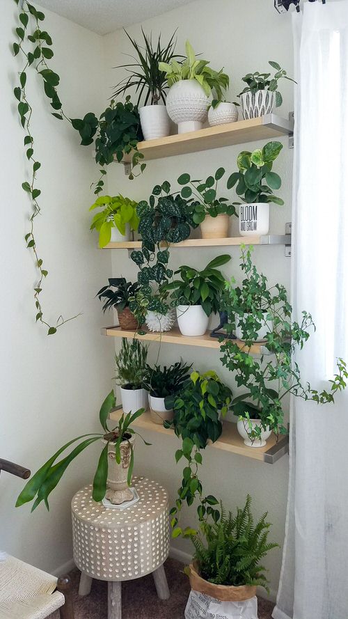 Vertical Garden Home Decoration 2