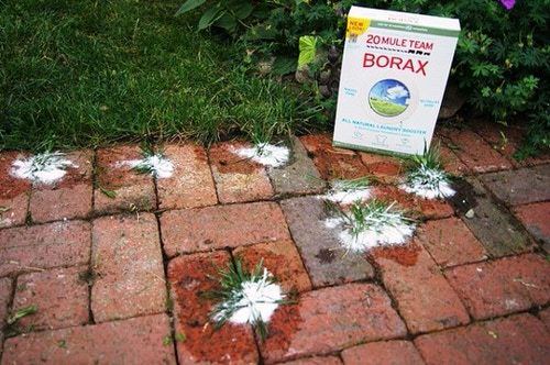 Homemade Weed Killer Ideas