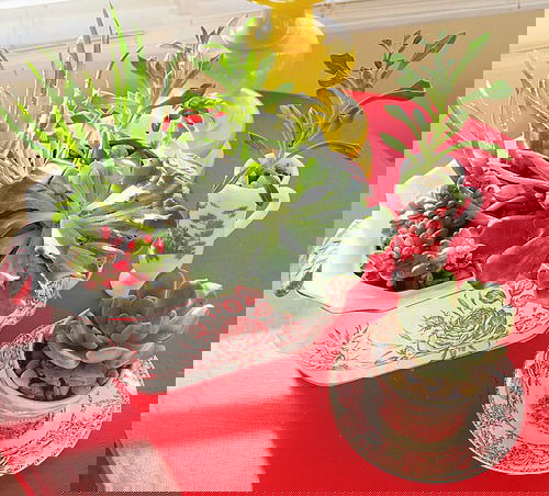 Smart Miniaturized Indoor Garden Projects 6