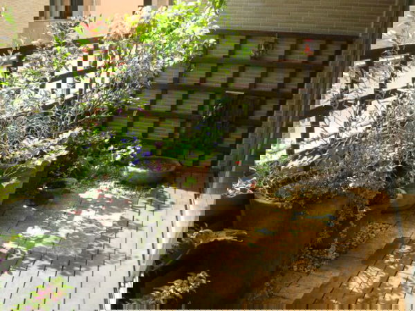 balcony railing design (13)_mini