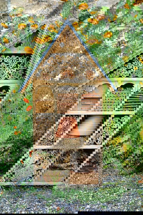 Must Do Things in Garden in Summers 11