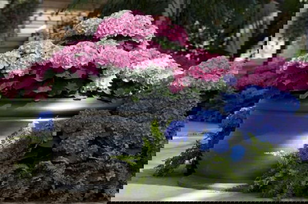 landscaping with hydrangea (14)_mini