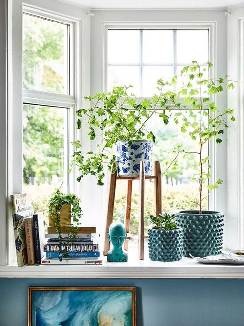 Windowsill Decor Ideas with Plants 14