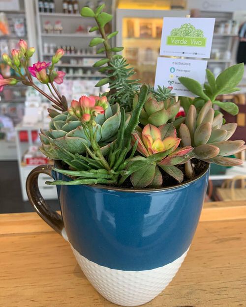 Coffee Mug Planter Ideas 9