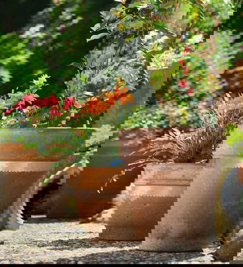 How to Use Common Household Things in Your Garden 7