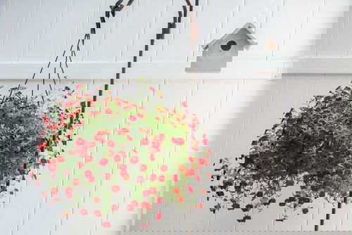 Container Gardening Arrangements 6