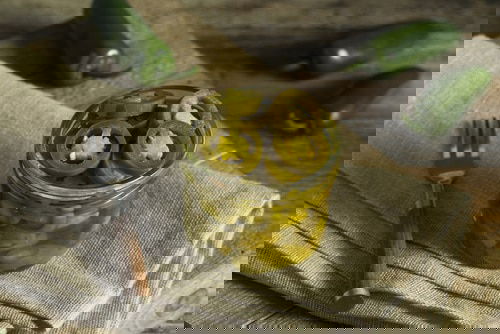 Best Plants and Trees You Should Grow for Homemade Pickles 4