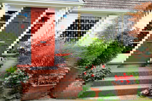 Best Entrance Plants Pictures 36